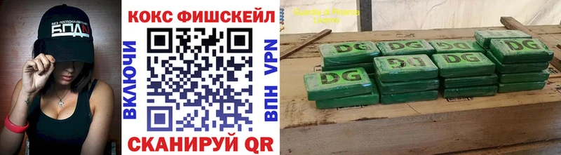 Купить закладки  Егорьевск  COCAIN FishScale 