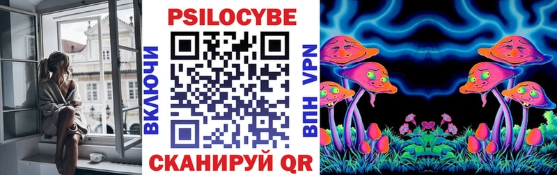 Купить закладки  Егорьевск  Галлюциногенные грибы MAGIC MUSHROOMS 